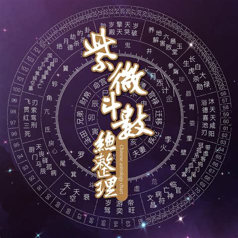 流年雙化忌|2025年，乙巳年，紫微斗數流年運勢分析，詳細介。